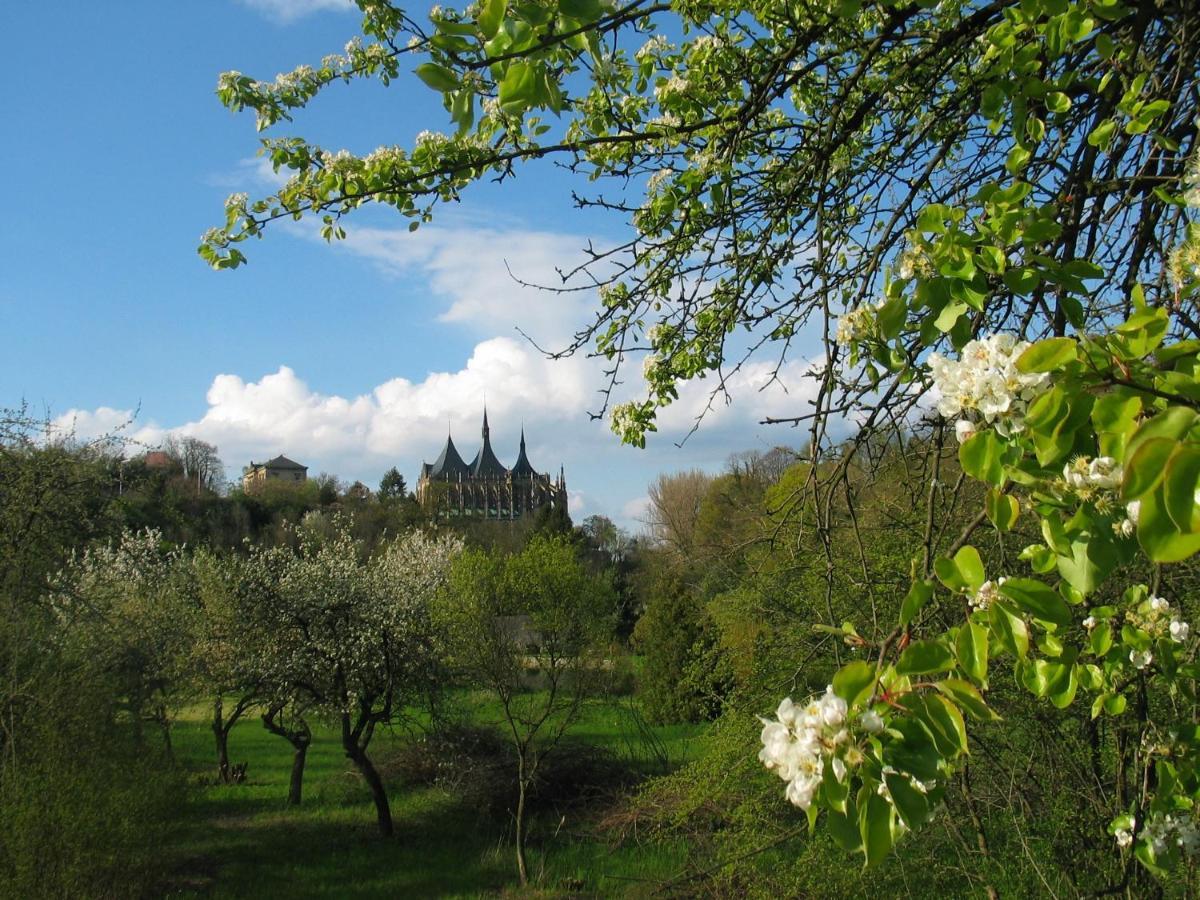 Penzion Art Kutna Hora Bed and Breakfast Exterior foto